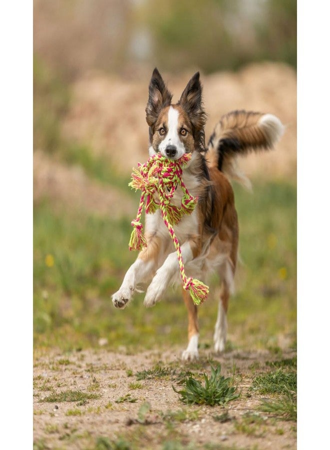 تريكسي لعبة حبل تريكسي دينتا المرحة مع كرة منسوجة للكلاب، 44 × 7 سم (قد يختلف اللون) - Image 2